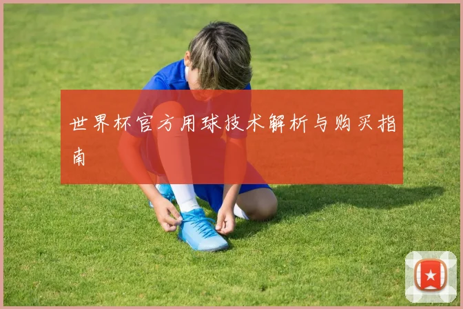 世界杯官方用球技术解析与购买指南