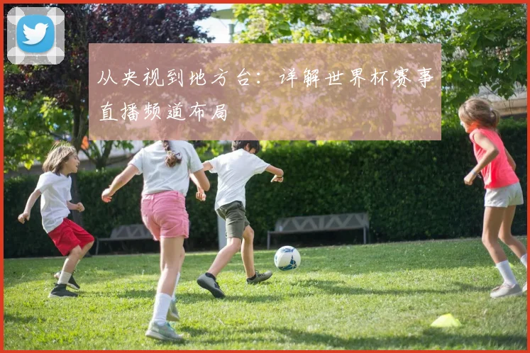 从央视到地方台：详解世界杯赛事直播频道布局