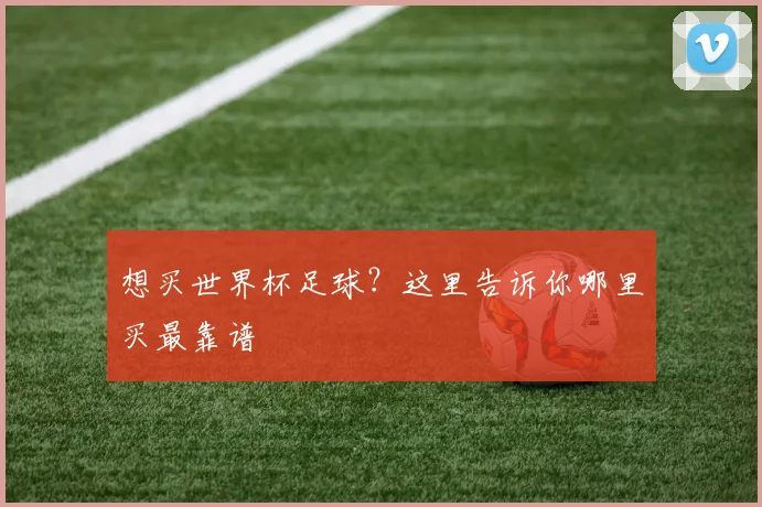 想买世界杯足球?这里告诉你哪里买最靠谱