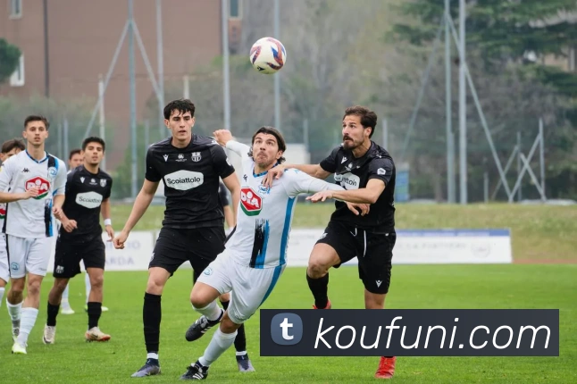 mksports网站平台生态图